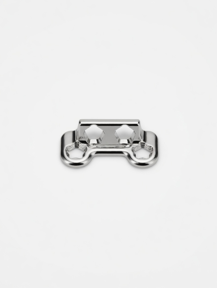 Polished stainless clamp